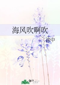 海风吹啊吹