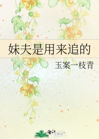 妹夫是用来追的